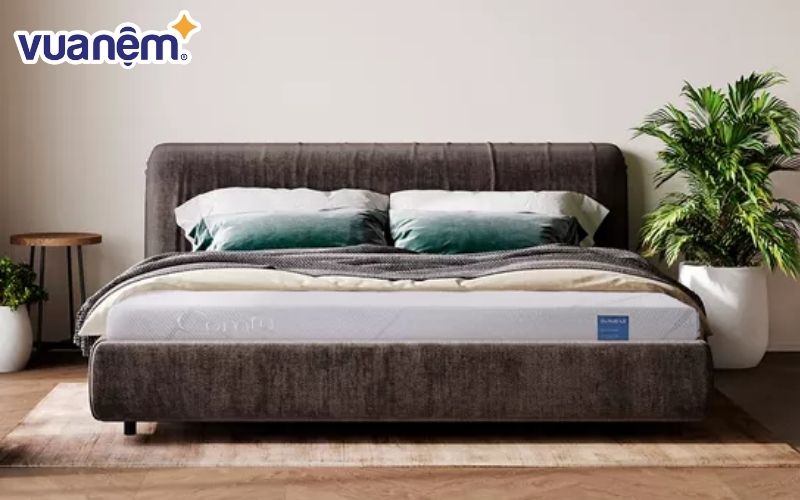 Nệm foam 1m5 thoáng khí, êm ái, thiết kế hiện đại