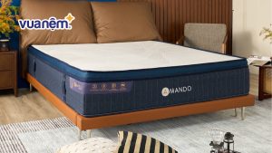 Bảng giá mẫu nệm 1m6x1m9 bán trên thị trường năm 2026