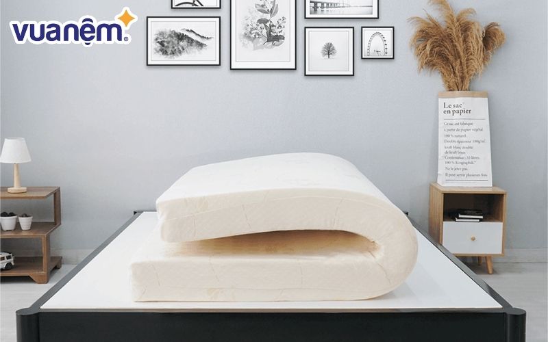 Đây là dòng sản phẩm nệm Foam được đánh giá tốt với chất liệu cao cấp