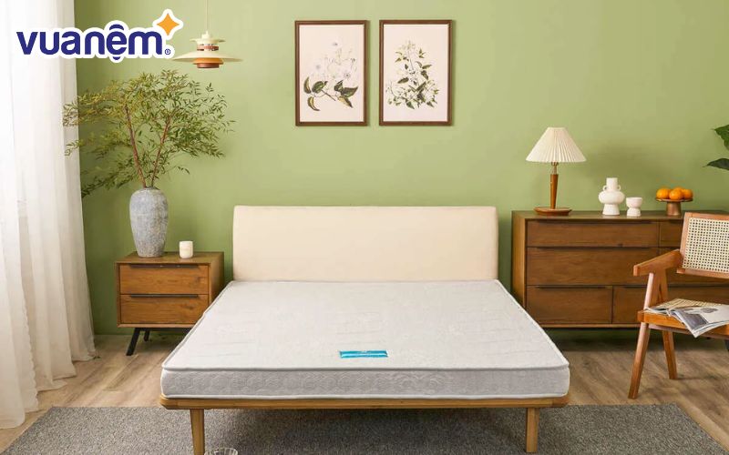 Nệm bông ép 2m là sự lựa chọn của nhiều gia đình