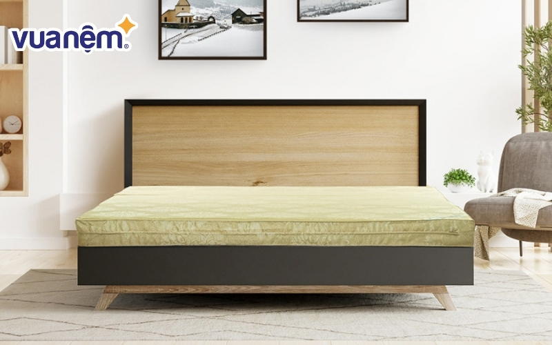 Nệm bông ép than hoạt tính kháng khuẩn Everon