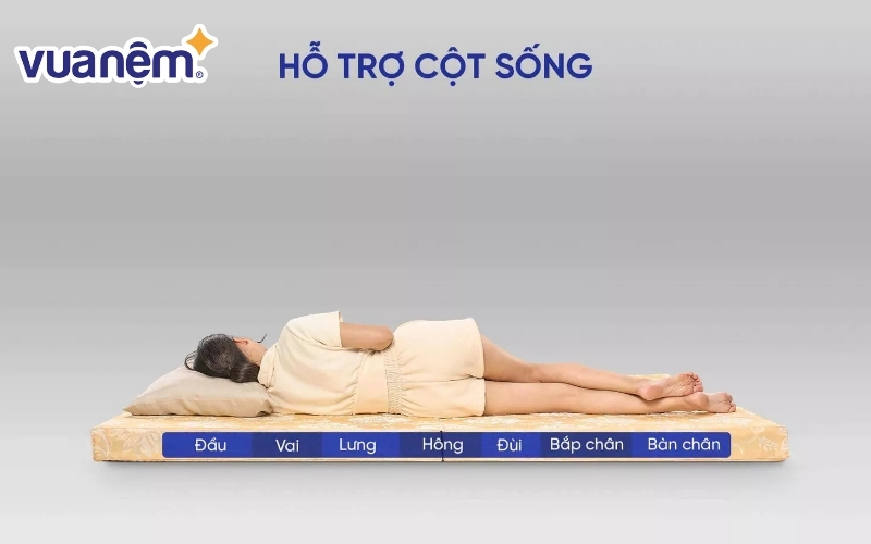 Nệm bông ép than hoạt tính hỗ trợ cột sống tốt