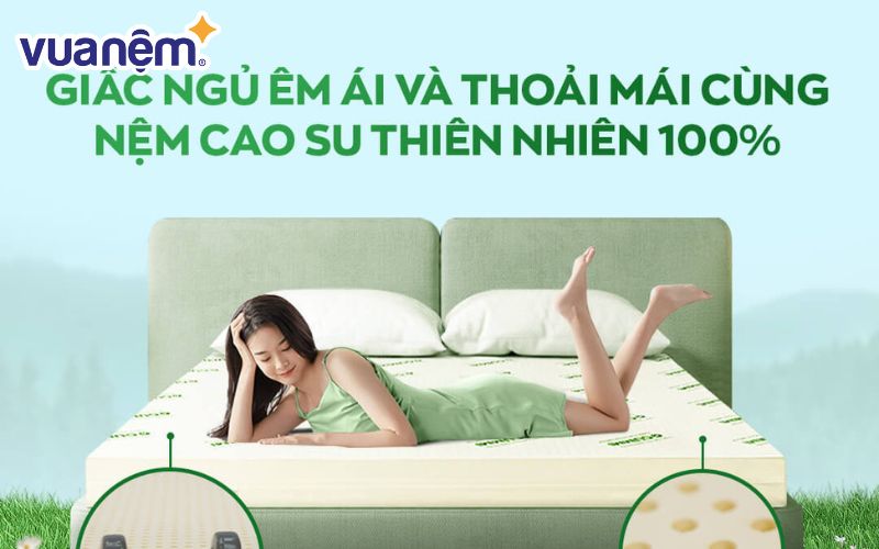 Nệm cao su Gummi Classic là sự lựa chọn hoàn hảo cho mọi gia đình, mọi đối tượng khách hàng