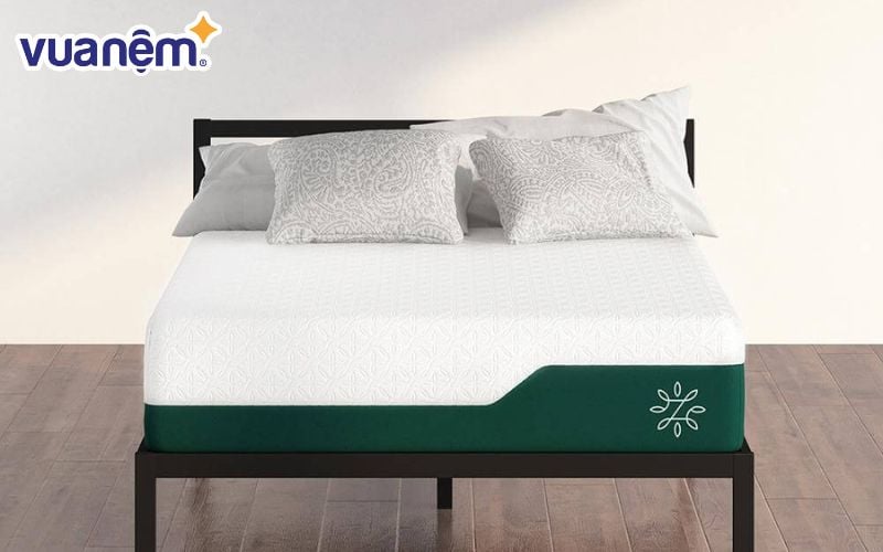 So sánh giá nệm foam và nệm bông ép