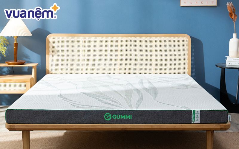  Nệm đôi cao su Gummi Premium với tính chất than hoạt tính đánh bay mọi bụi bẩn