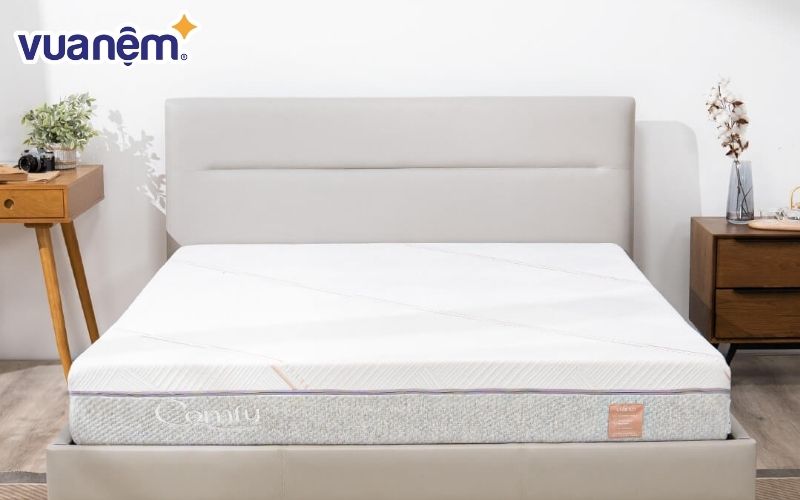 Nệm Foam Comfy Lux 1.0 cao cấp có độ cứng vừa, thiết kế đa tính năng giúp bảo vệ lưng hiệu quả