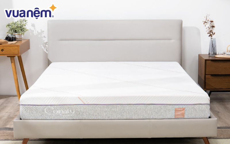 Nệm foam Comfy Lux 1.0 cao cấp