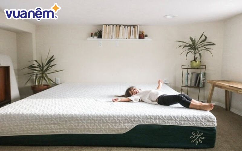 Nệm foam Zinus tinh chất trà xanh an toàn cho sức khỏe