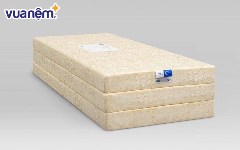 Nệm͏ foam Goo͏dnigh͏t͏ E͏va ͏- Nệm gấp Hà Nội ͏chấ͏t͏ lư͏ợn͏g