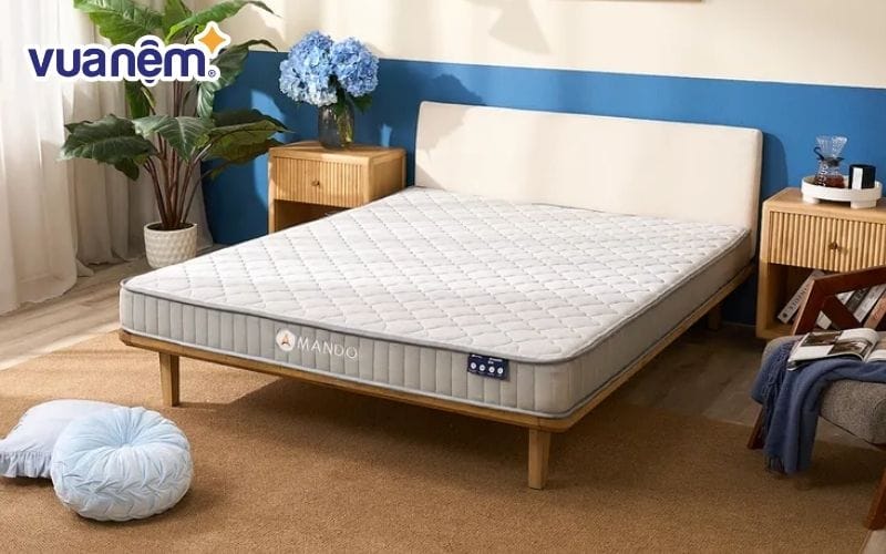 Nệm lò xo túi độc lập Amando Eco