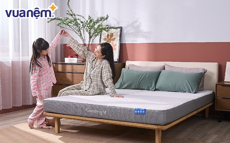 Nệm foam Goodnight Hachi
