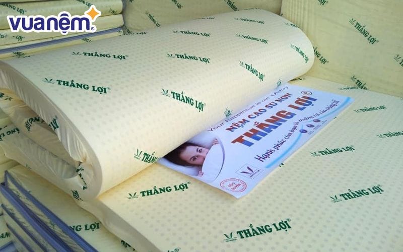 Hướng dẫn chọn mua nệm Thắng Lợi phù hợp͏