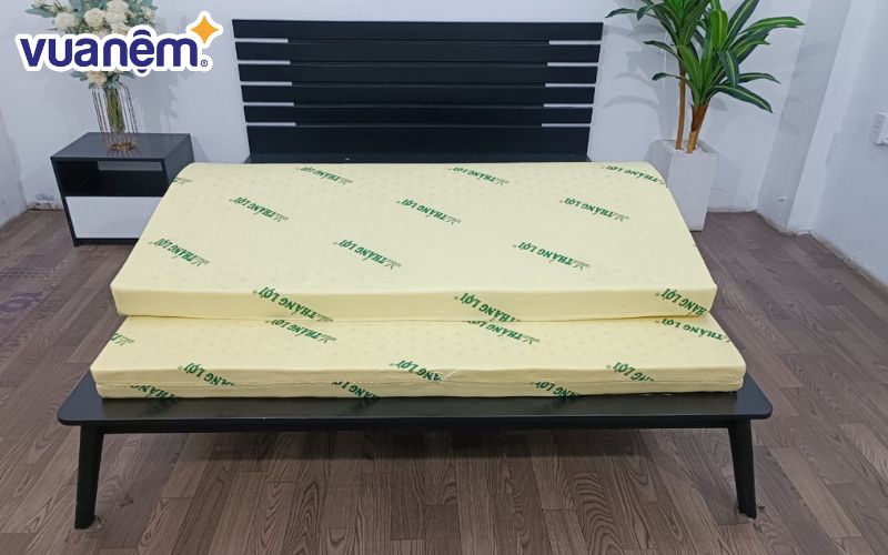 Giá nệm gấp 2 Thắng Lợi 1m6