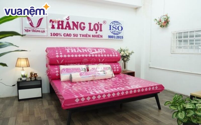 Mua đệm Thắng Lợi 1m6 từ những cửa hàng, chi nhánh uỷ quyền