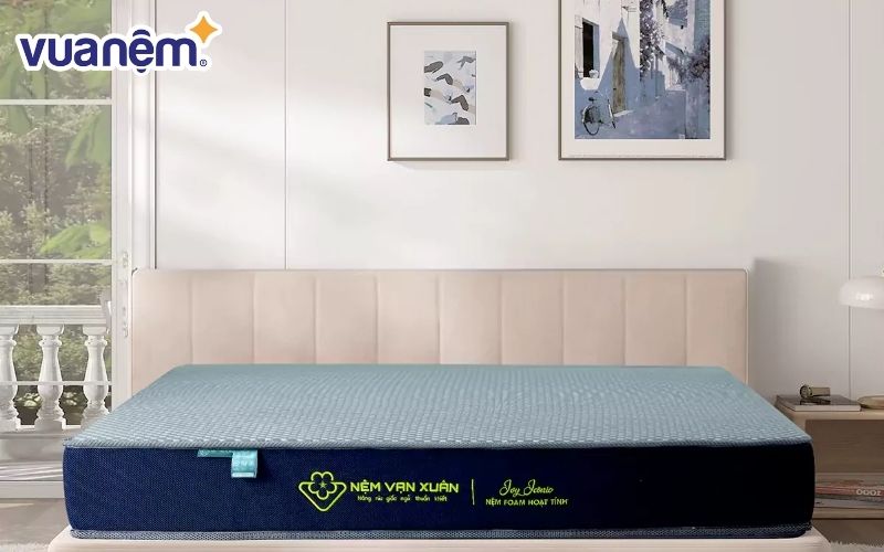 Nệm Foam Hoạt Tính Vạn Xuân dòng Ivy Iconic