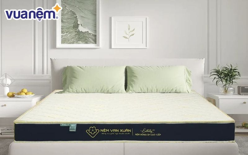 Nệm bông ép gấp 2 Lullaby