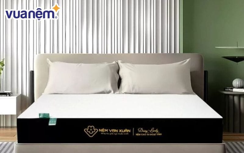 Nệm foam than hoạt tính Daisy Lively