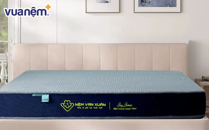 Nệm Foam Hoạt Tính Vạn Xuân _ Ivy Iconic