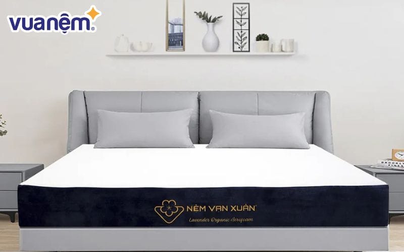 Nệm Lavender Organic Aerofoam