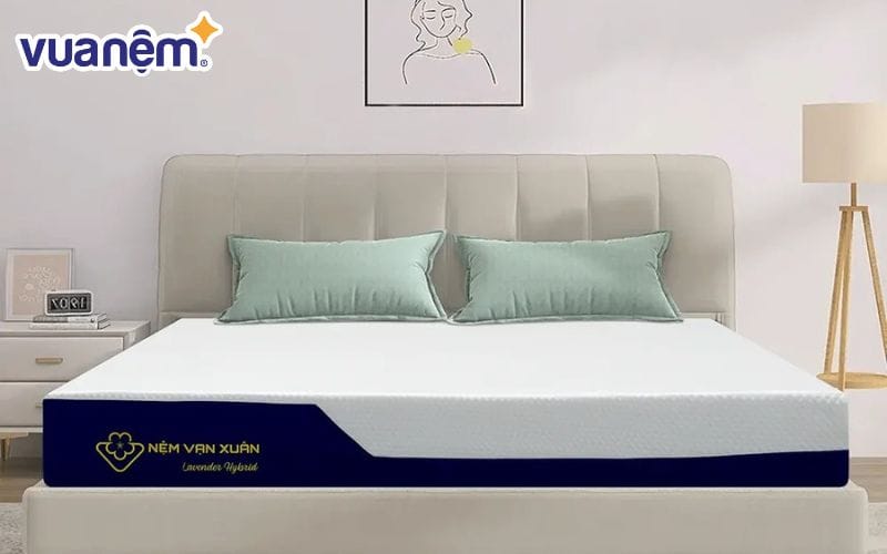 Nệm foam Lavender Hybrid đa tầng