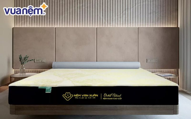 Nệm foam Orchid Natural