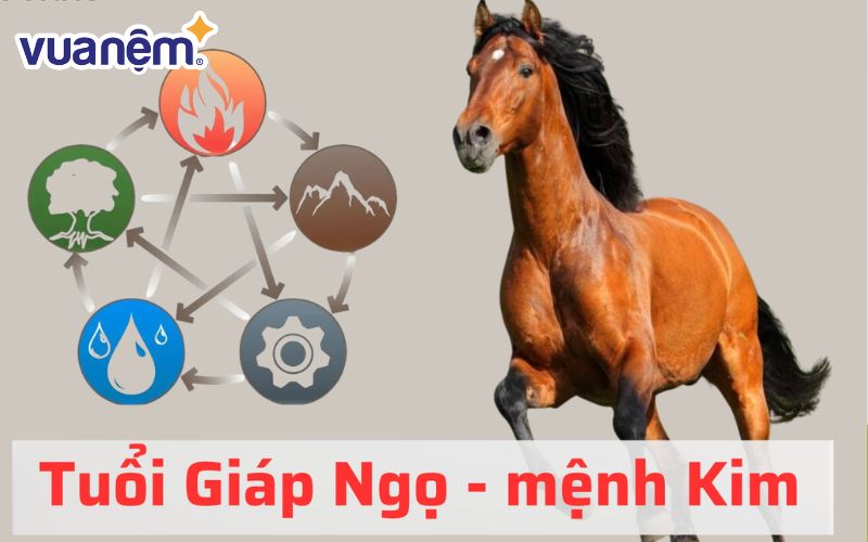 Sinh năm 2014 mệnh Kim hợp với mệnh Thổ và mệnh Thuỷ