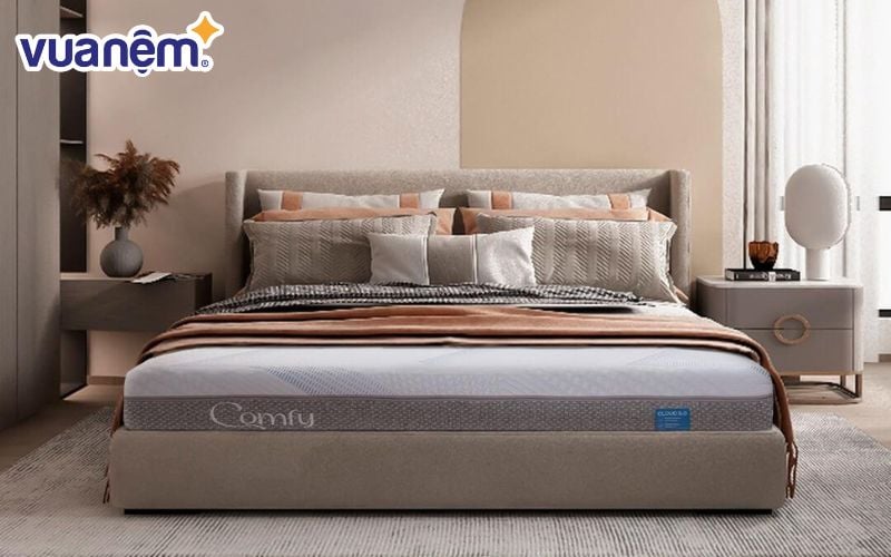 Comfy là một trong những thương hiệu nệm foam đa dạng nhất hiện nay