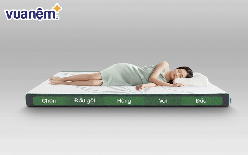 Nệm Gummi Premium - Mẫu nệm cho người đau vai gáy