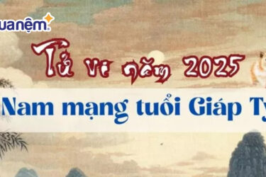 Tử vi tuổi Giáp Tý 1984 - Nam mạng 2025