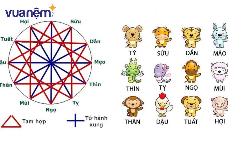 Lựa chọn tuổi hợp mua xe tháng 2/2025 dựa trên nhiều yếu tố khác nhau