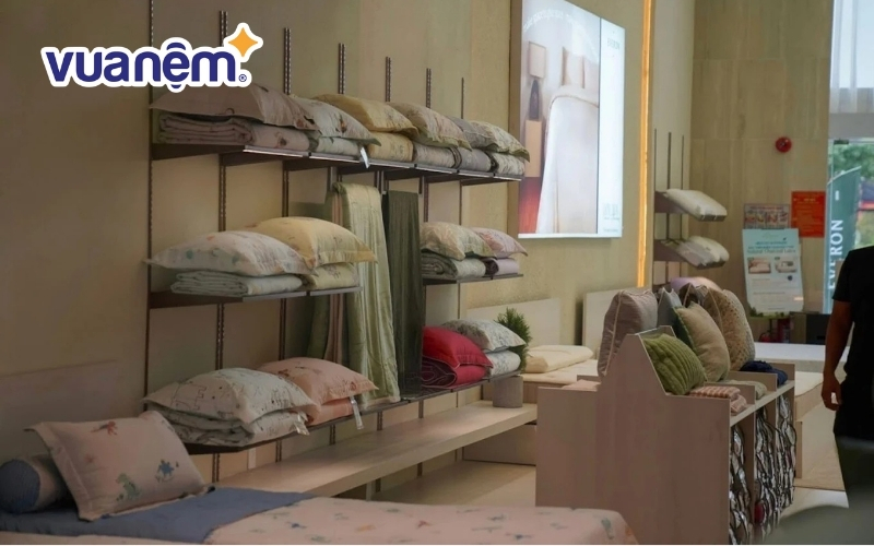 Everon tại Quảng Bình