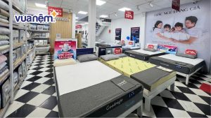 Top 8 cửa hàng nệm chăn ga gối giá tốt tại Thái Bình