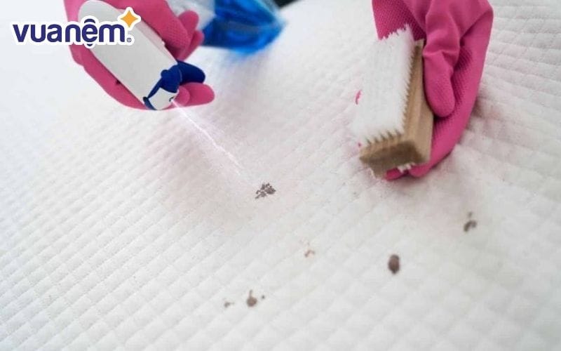 Công ty vệ sinh Đình Hùng vệ sinh nệm tại nhà nhanh chóng, tiết kiệm thời gian