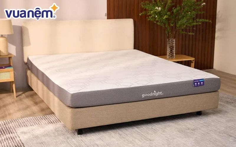 Mua nệm lò xo và nệm foam chính hãng uy tín tại Vua Nệm