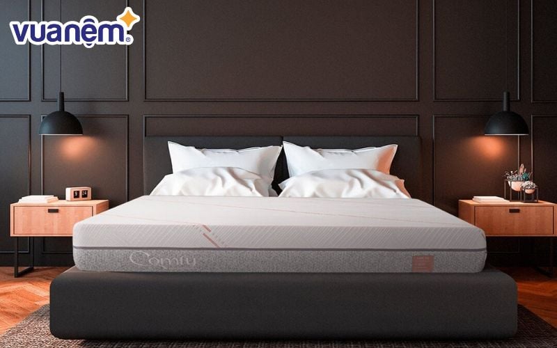 Nệm Comfy Lux 1.0