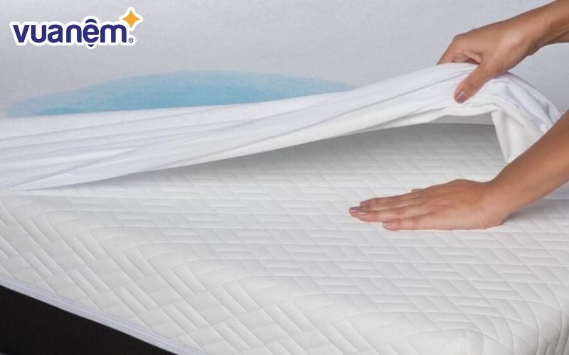 Môi trường ẩm thấp là điều kiện thuận lợi để rệp giường sinh sống và phát triển