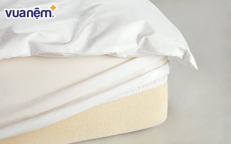 Nệm được làm từ bông tái chế thường hay ẩn chứa nhiều loại vi rút, vi khuẩn có hại