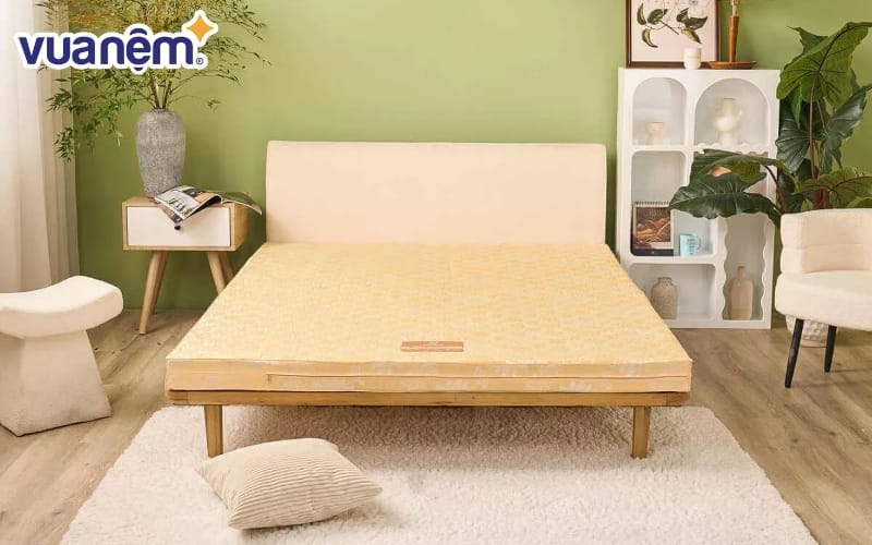 Hình dáng bên ngoài của nệm bông ép và nệm PE tương đối giống nhau