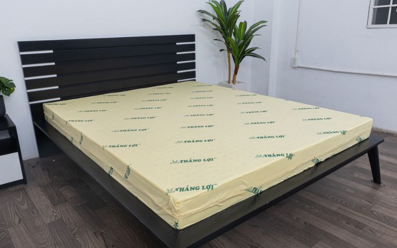 Nệm cao su 1m2x1m8 Thắng Lợi