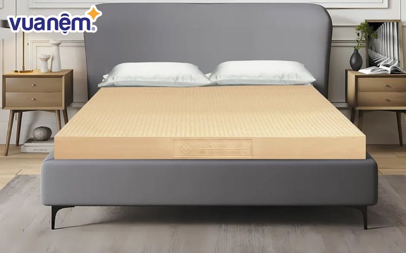 Nệm Cao Su Vạn Xuân Lotus Signature 1mx2m