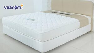 Nệm cao su Hàn Quốc có tốt không? Đặc điểm và giá thành