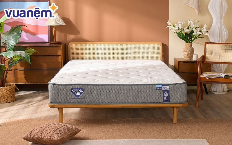 Nệm lò xo hỗ trợ nâng đỡ Spring Air Back Supporter Firm