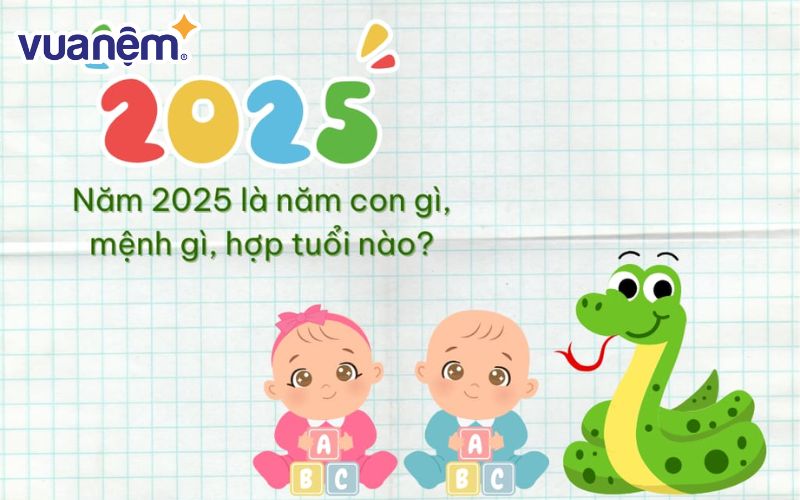 Năm 2025 là năm Ất Tỵ, người sinh 2025 thuộc mệnh Hỏa