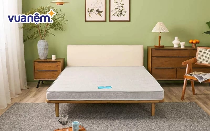 Nệm bông ép chính hãng