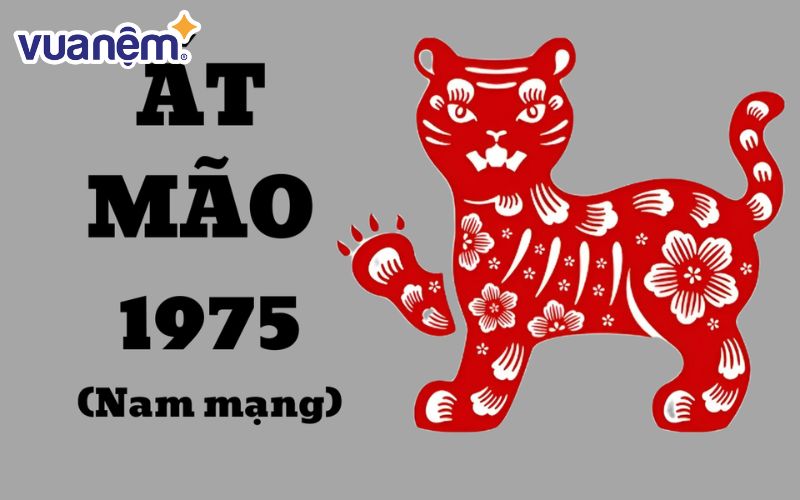 Nam mạng Ất Mão 1975 là người có tính cách hiền lành, ôn hoà