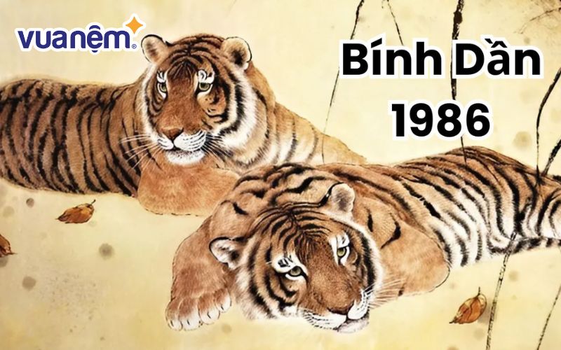 Màu sắc, hướng và ngày tốt cho tuổi Bính Dần 1986 năm 2025