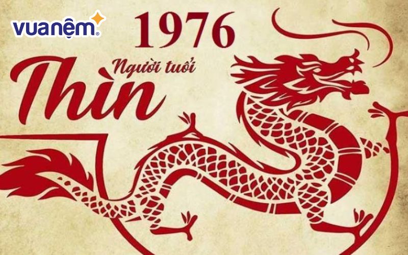 Tổng quan tử vi nam mạng tuổi Bính Thìn 1976 năm 2025