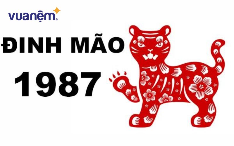 Dự báo tổng quan tử vi nam Đinh Mão 1987 năm 2025
