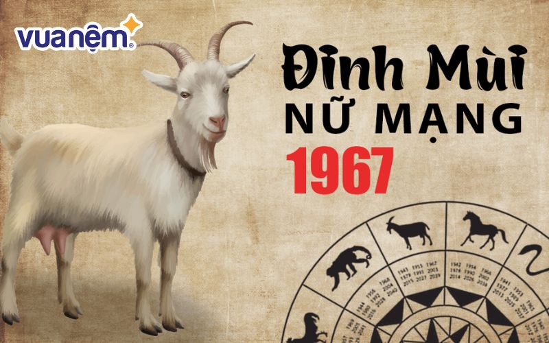 Tử vi nữ Đinh Mùi 1967 năm 2025 qua từng khía cạnh