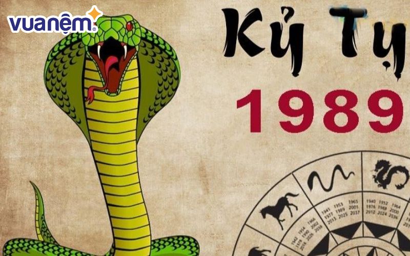 Đặc điểm tính cách của người nam tuổi Kỷ Tỵ 1989